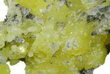 Lemon-Yellow Brucite on Matrix - Balochistan, Pakistan #354672-1